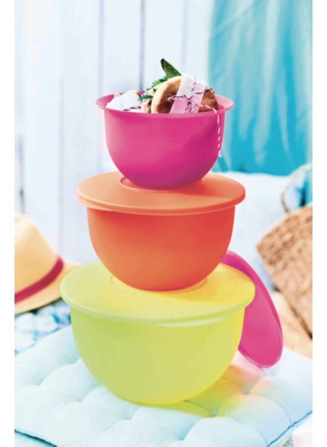 توبروير طقم سلطانيات محكمة الغلق 1.3 + 2.5 + 4.3 لتر - Image 2